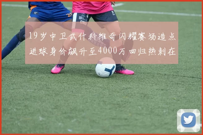 19岁中卫武什科维奇闪耀赛场造点进球身价飙升至4000万回归热刺在即